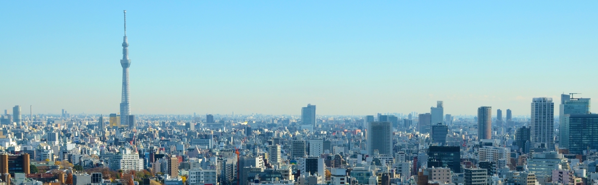 風景